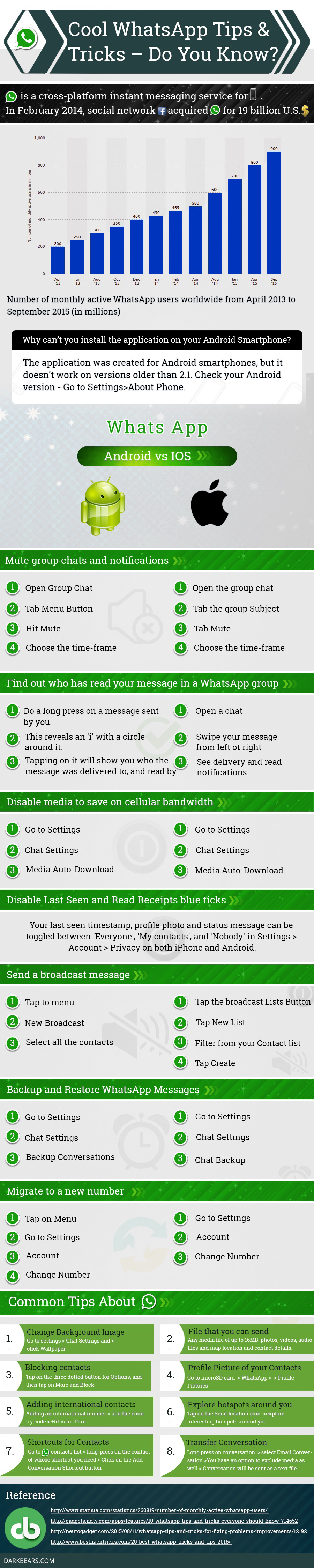 Whatsapp Infographic by Dark Bear Web Solutions